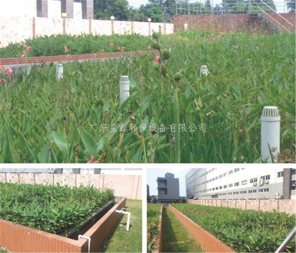 什么是人工濕地處理技術(shù)？人工濕地凈化污水的原理